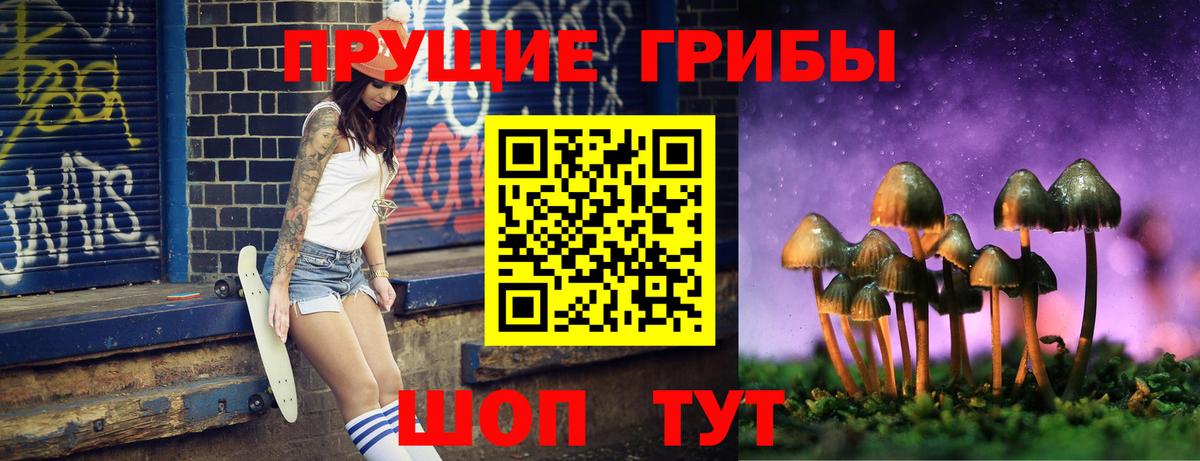 Галлюциногенные грибы Psilocybe  Вход с VPN  Костомукша 